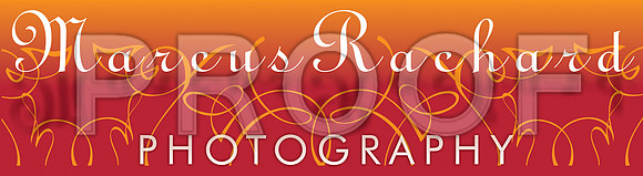 Watermark Orange v1 jpeg