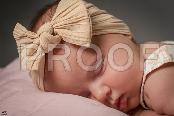 ed MRP07081 4x6