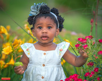 ed MRP08371 crop 8x10