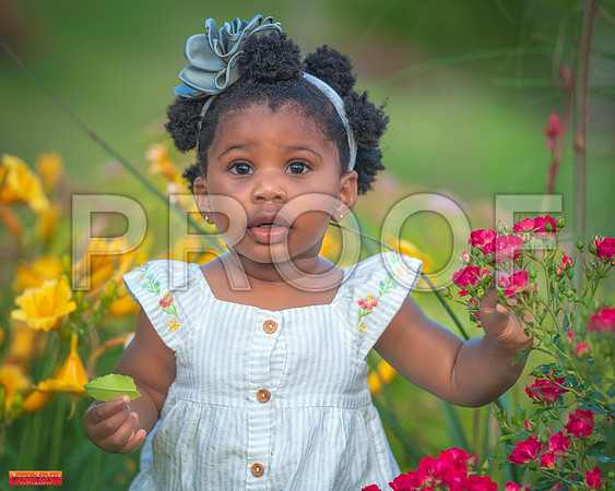 ed MRP08371 crop 8x10