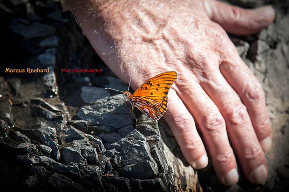 IMG_7417-Edit