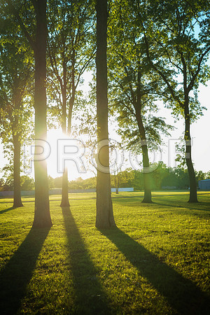 MRP DSC02263